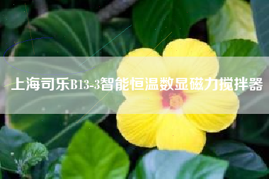 上海司乐B13-3智能恒温数显磁力搅拌器