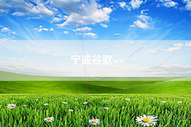 宁波谷歌seo