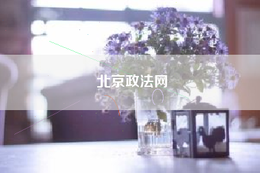 北京政法网