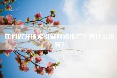 如何做好搜索引擎网络推广?有什么诀窍?