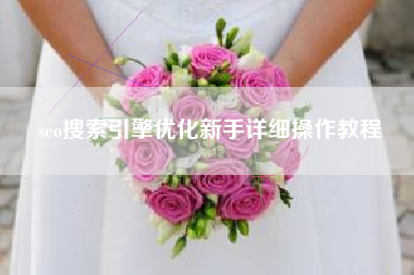 seo搜索引擎优化新手详细操作教程
