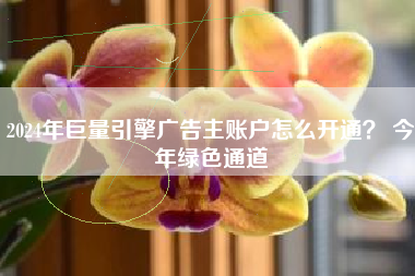 2024年巨量引擎广告主账户怎么开通? 今年绿色通道
