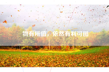 物有所值,依然有利可图
