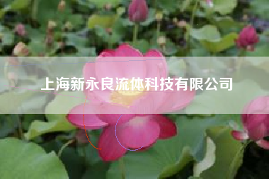 上海新永良流体科技有限公司