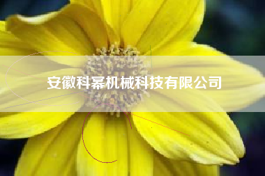 安徽科幂机械科技有限公司