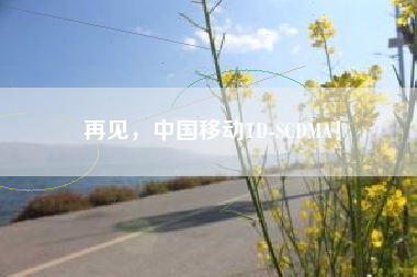 再见,中国移动TD-SCDMA!