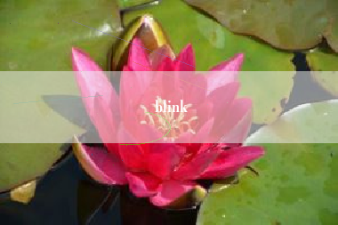 blink