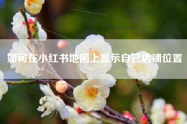 如何在小红书地图上显示自己店铺位置