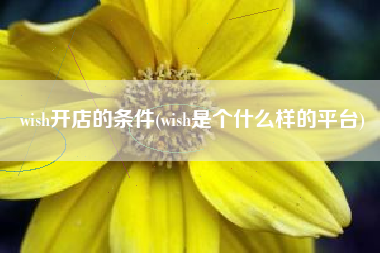 wish开店的条件(wish是个什么样的平台)