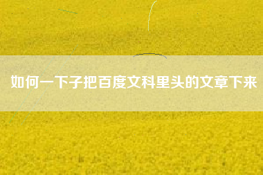 如何一下子把百度文科里头的文章下来