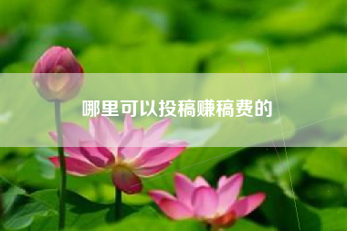 哪里可以投稿赚稿费的