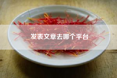 发表文章去哪个平台