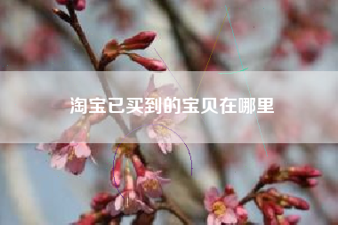 淘宝已买到的宝贝在哪里
