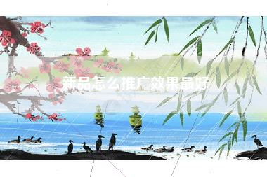 新品怎么推广效果最好