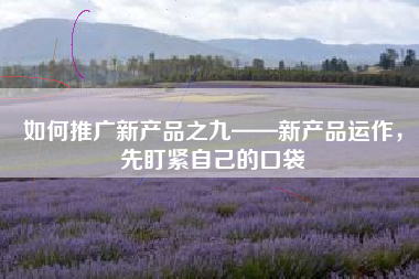 如何推广新产品之九——新产品运作,先盯紧自己的口袋