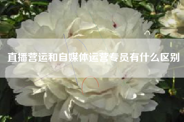 直播营运和自媒体运营专员有什么区别