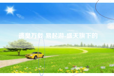 遗臭万载 易起游-盛天旗下的