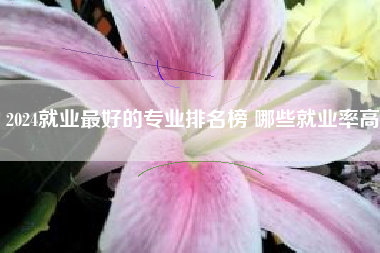 2024就业最好的专业排名榜 哪些就业率高