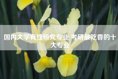国内大学有性研究专业 考研最吃香的十大专业