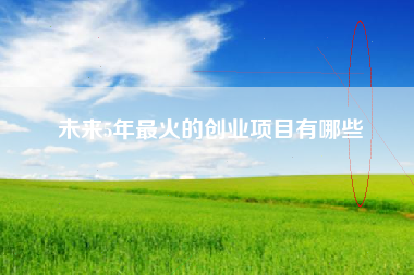 未来5年最火的创业项目有哪些
