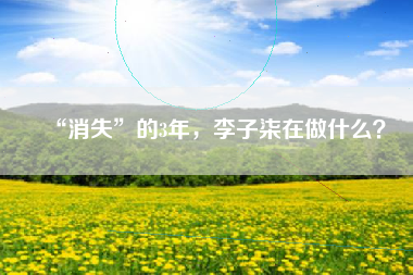 “消失”的3年,李子柒在做什么?