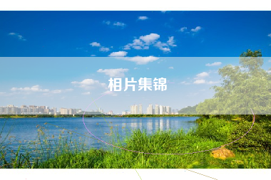 相片集锦