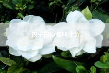 饺子的原名叫什么