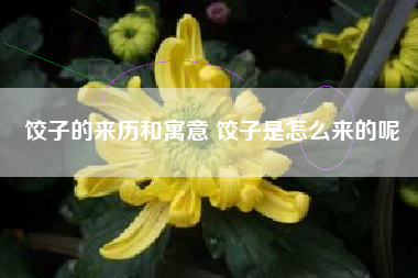 饺子的来历和寓意 饺子是怎么来的呢