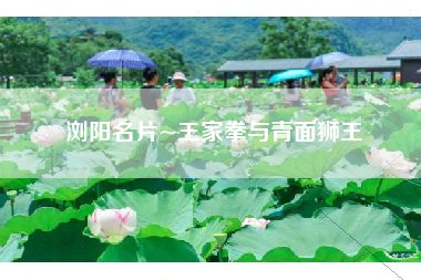 浏阳名片~王家拳与青面狮王