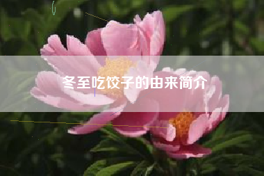 冬至吃饺子的由来简介