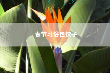 春节习俗包饺子