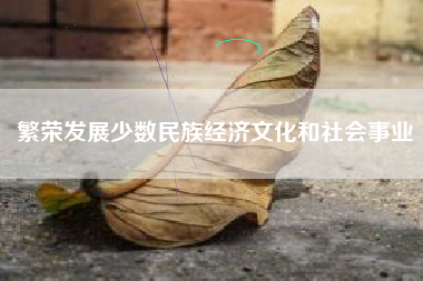 繁荣发展少数民族经济文化和社会事业
