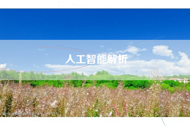 人工智能解析