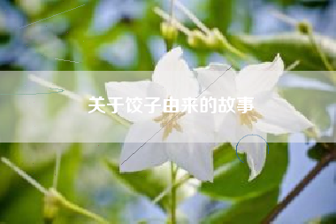 关于饺子由来的故事