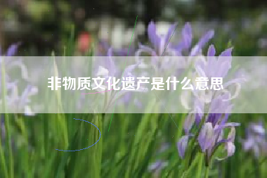 非物质文化遗产是什么意思