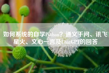 如何系统的自学Python?通义千问、讯飞星火、文心一言及ChatGPT的回答