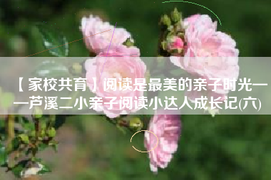 【家校共育】阅读是最美的亲子时光——芦溪二小亲子阅读小达人成长记(六)