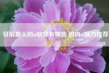 目前最火的ai软件有哪些 国内ai强力推荐