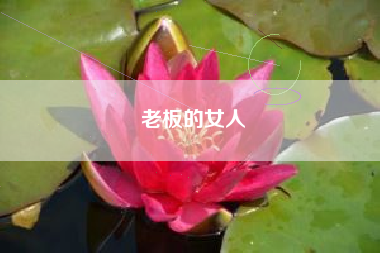 老板的女人