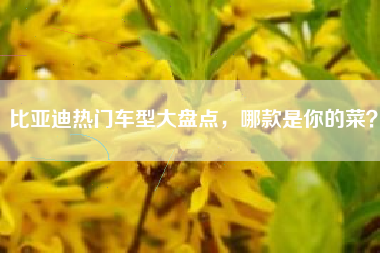 比亚迪热门车型大盘点,哪款是你的菜?
