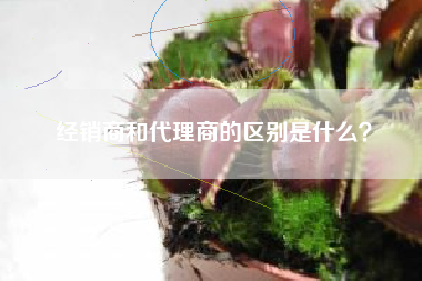 经销商和代理商的区别是什么?