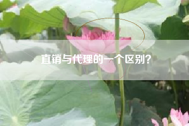 直销与代理的一个区别?