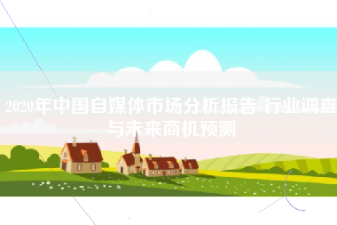 2020年中国自媒体市场分析报告-行业调查与未来商机预测