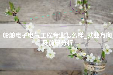 船舶电子电气工程专业怎么样_就业方向及前景分析
