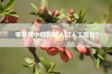 零基础小白如何入门人工智能?